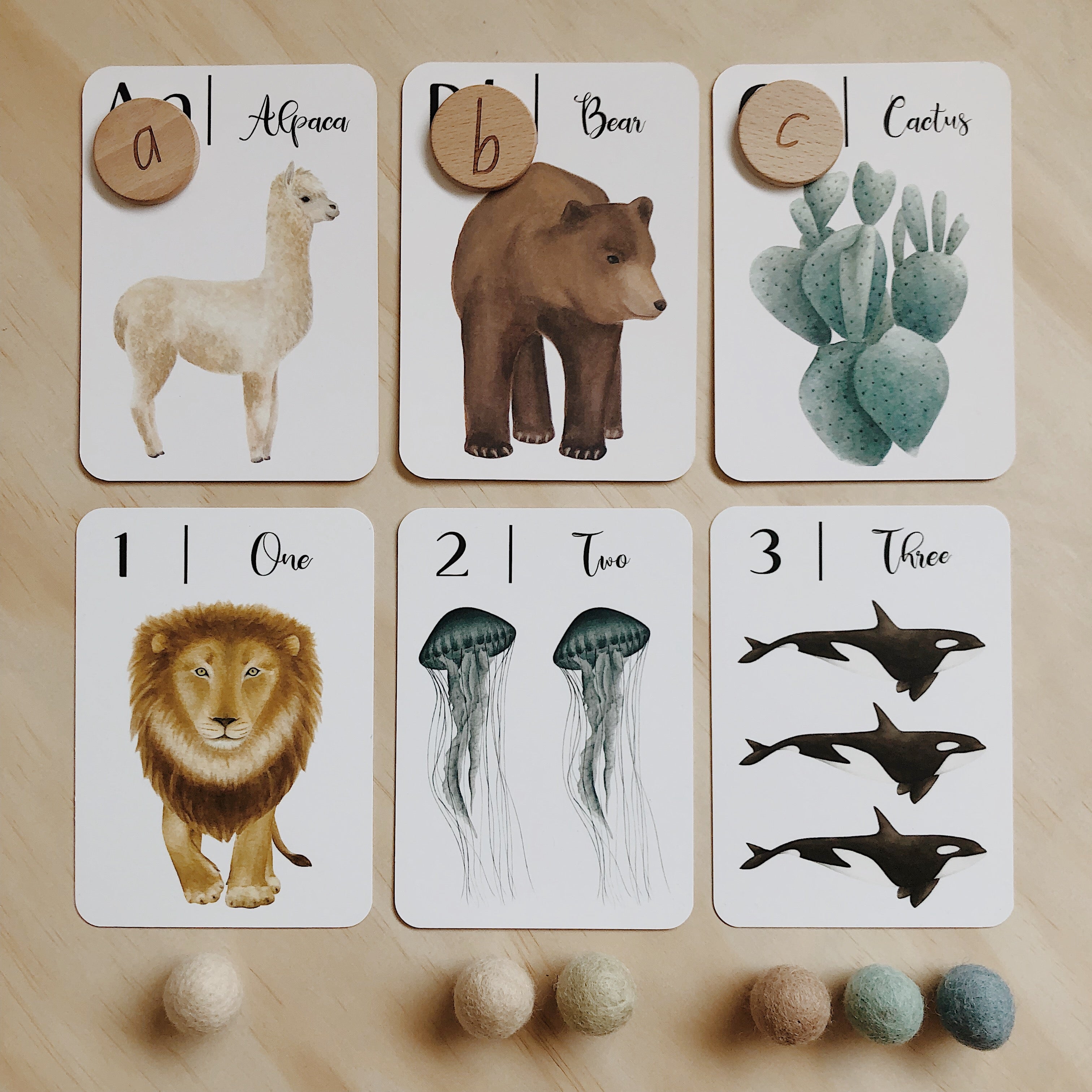 Jo Collier Nature ABC Flash Cards